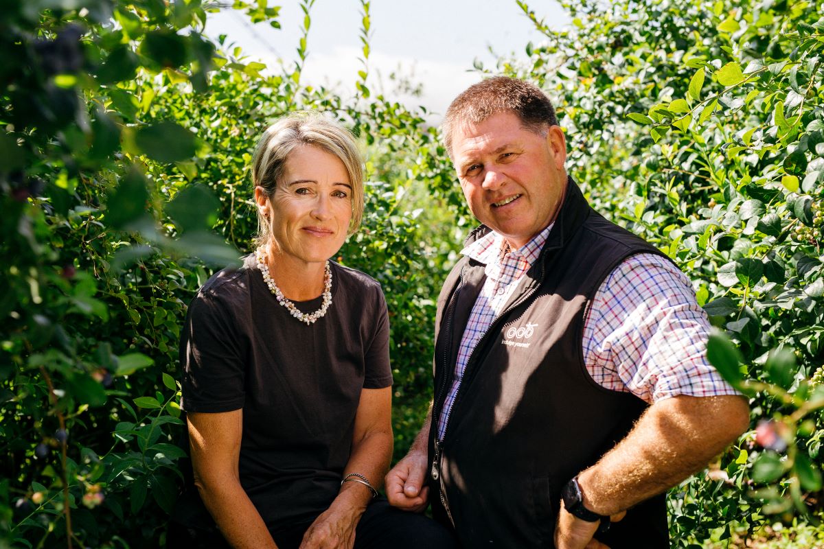 Owners Owners