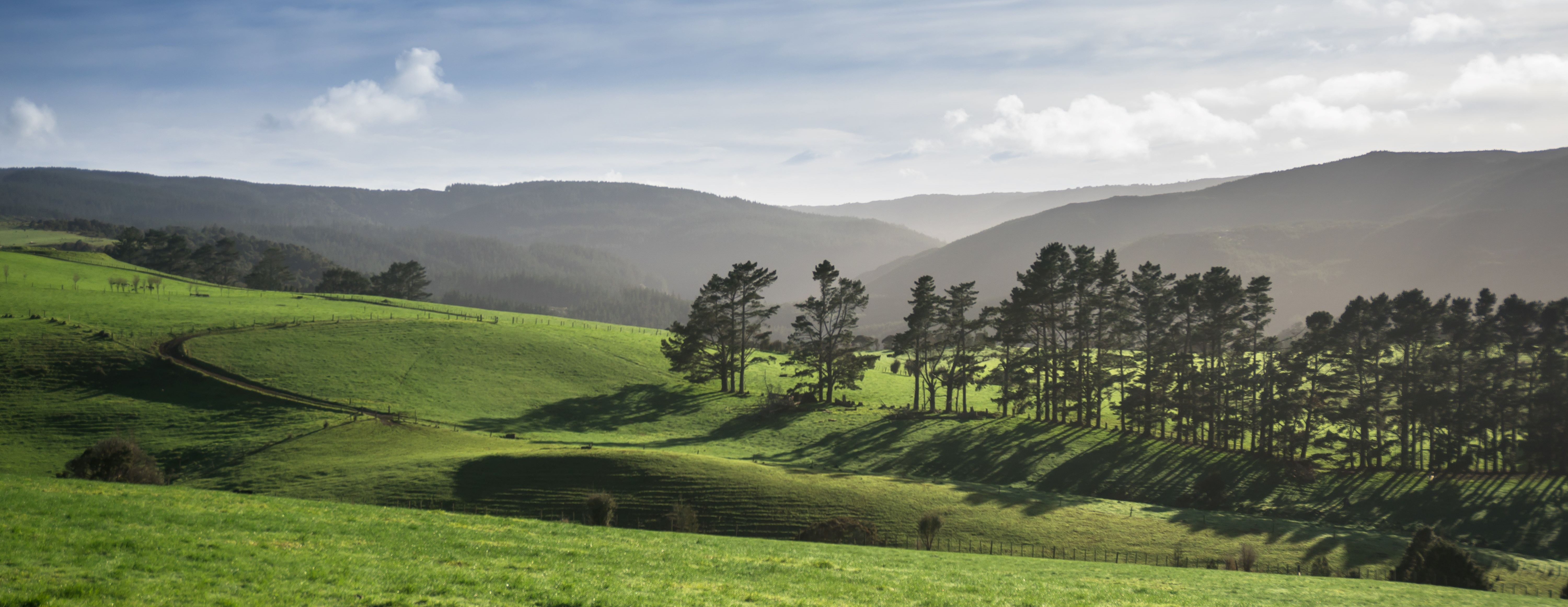 Farm Farm