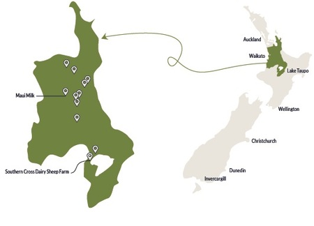 Nz.Waikatio Map 2024 (002) Croped Nz.Waikatio Map 2024 (002) Croped